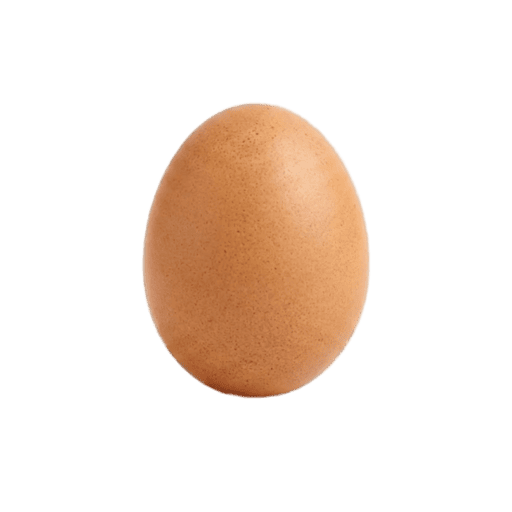Egg