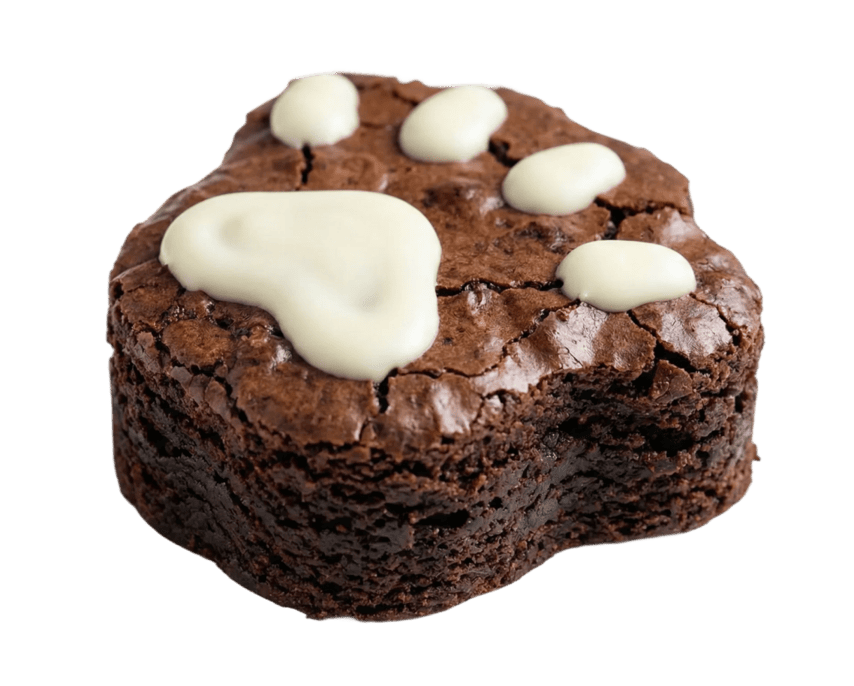 Marmot Paw Brownie